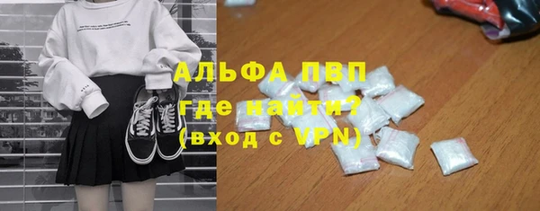PSILOCYBIN Иннополис