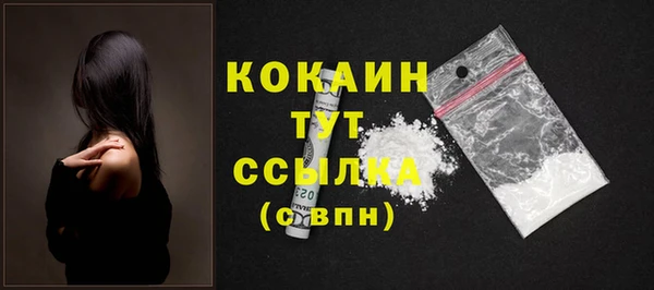 прущий лед Инсар