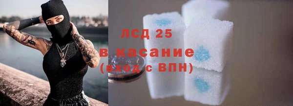 прущий лед Инсар
