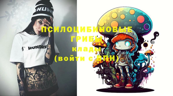PSILOCYBIN Иннополис