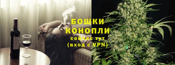 прущий лед Инсар