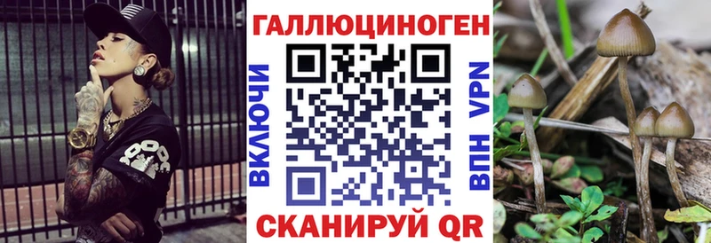 Купить  Армянск  Псилоцибиновые грибы мицелий 